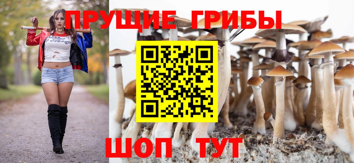 Псилоцибиновые грибы Psilocybe Орёл